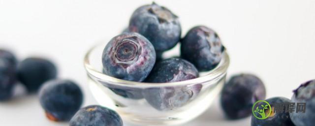 蓝莓是直接吃还是剥皮吃(蓝莓剥皮吗可以吃蓝莓吗)