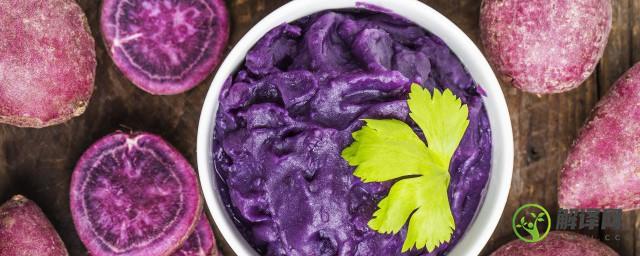 紫薯的种植办法是什么(紫薯的种植方法和红薯一样吗)