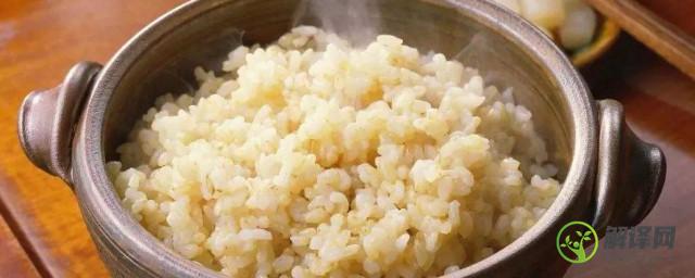 糙米饭的正确煮法(七色糙米饭的正确煮法)