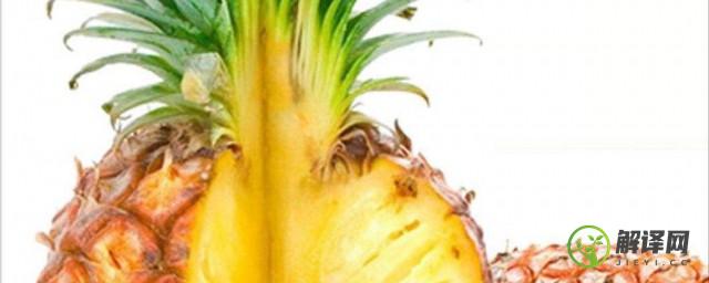 香水菠萝种植技术(菠萝怎么种植方法)