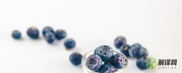 盆景蓝莓的养殖方法(蓝莓盆栽技术大全)