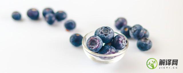 蓝莓的种植方法及时间(蓝莓栽植是什么时间)
