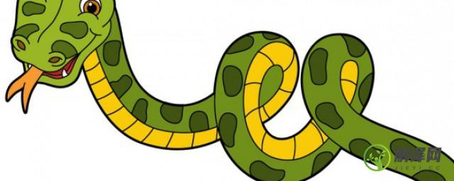 为什么响尾蛇的尾巴会响原理是什么