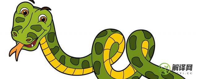 为什么毒蛇和无毒蛇长得不一样