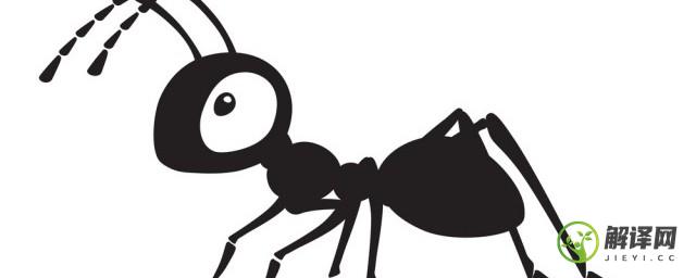蚂蚁为什么认识寻找食物的路径