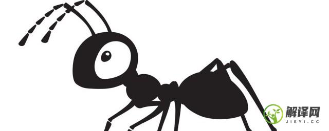 不同家族的蚂蚁为什么会打架?(同种类的蚂蚁会打架吗)