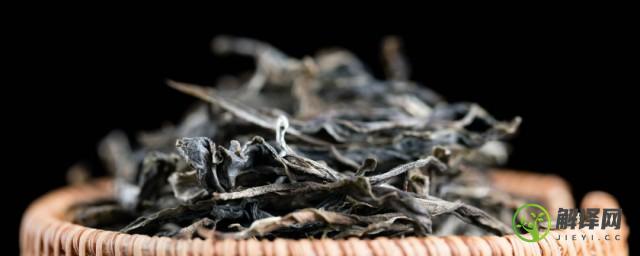 喝熟普洱茶是黑茶吗(普洱生茶和熟茶都属于黑茶吗)
