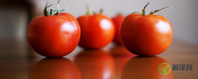 怎么种植西红柿(番茄的栽培技术)