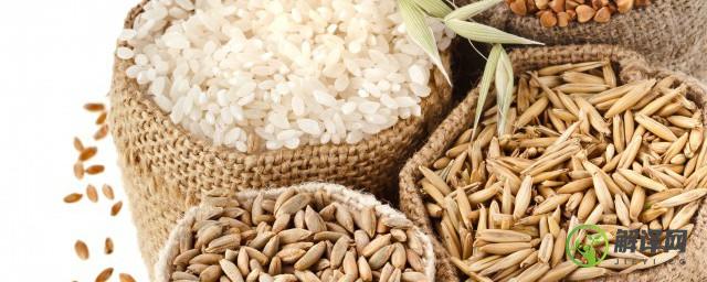 水稻怎么种植高产(怎样种水稻产量高)