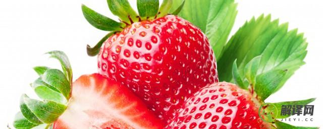 怎么种植草莓种子(草莓的种植方法)