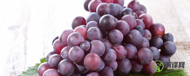 葡萄是什么季节成熟的(葡萄是什么季节成熟的丰收)