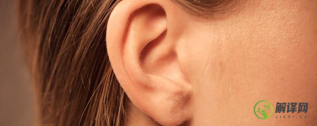 耳朵除了听觉功能还可以感知到