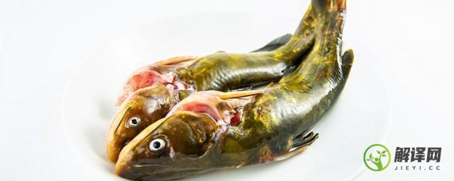 红烧鮥鱼的做法(红烧鮥鱼的做法都是什么)