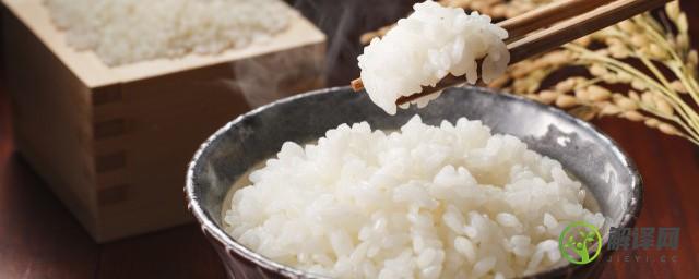 白米饭怎么煮(燕麦米和白米饭怎么煮)