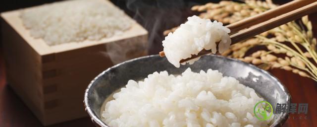 米饭在冰箱里可以放多久(米饭放到冰箱能放多久)