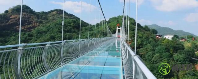 玻璃桥的玻璃是什么玻璃(玻璃桥上的玻璃是什么)