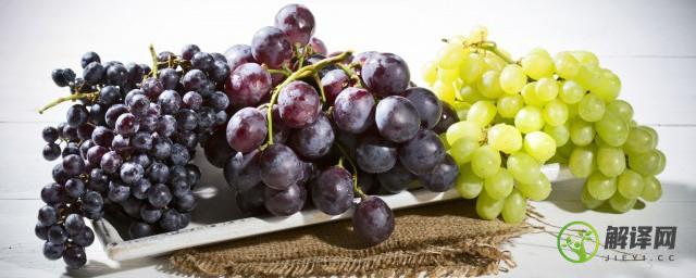 有种葡萄是长长的是什么葡萄(有一种葡萄很长的叫什么葡萄)