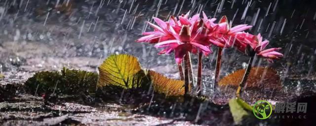 雨季是几月份到几月份(西藏的雨季是几月份到几月份)