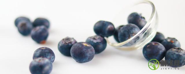 如何保存蓝莓(保存蓝莓的三种方法)