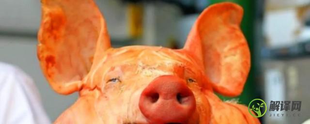 梦见吃猪头是什么征兆(做梦梦见吃猪头肉)