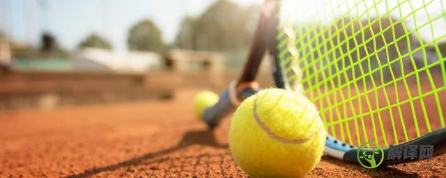 网球表面为什么是毛绒绒的(网球表面包裹的绒毛主要起什么作用)
