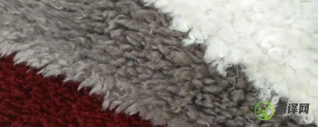 滩羊毛是羊哪个部位的毛(滩羊毛和羊滩毛是一种毛吗)