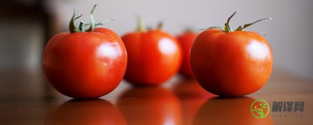 西红柿冷藏保存多久(西红柿存放冰箱保鲜多长时间)