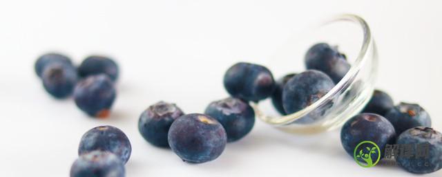 蓝莓和什么水果混合榨汁(蓝莓可以和什么一起榨汁)