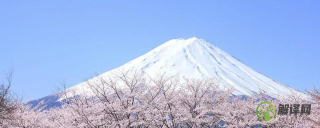 日本最著名的景点都有哪些(日本旅游最好的景点都有哪些?)