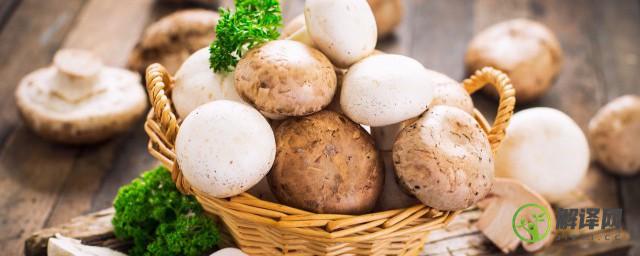 洗过的蘑菇可以放在冰箱里冷冻吗