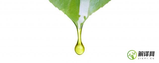 植物油包括哪些类型(植物油是什么类)