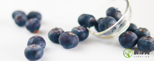 阳台蓝莓的种植方法(阳台蓝莓种植技术和管理)