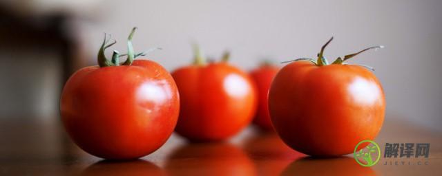 阳台西红柿的种植步骤(阳台西红柿的种植方法和时间)