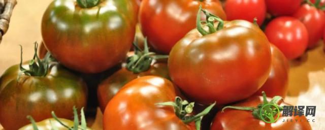 番茄品种(番茄品种十大排名)