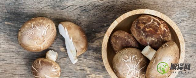 椴木香菇与袋料香菇的区别(椴木香菇和香菇有什么区别)