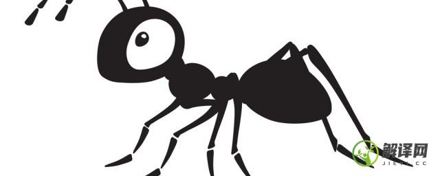 蚂蚁用什么来辨别气味(蚂蚁的气味是从哪里)