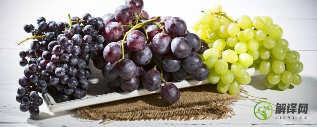 吃的葡萄和酿酒葡萄有啥区别(酿酒的葡萄与吃的葡萄一样吗)