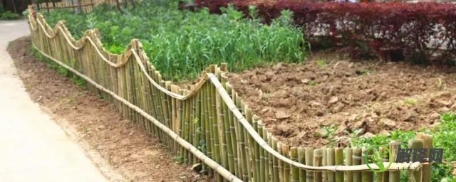 竹子围栏一般有多少年寿命(竹子栅栏使用寿命)