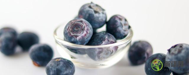 蓝莓冷冻可以放8个月吗(蓝莓可以冷冻长期保存吗)