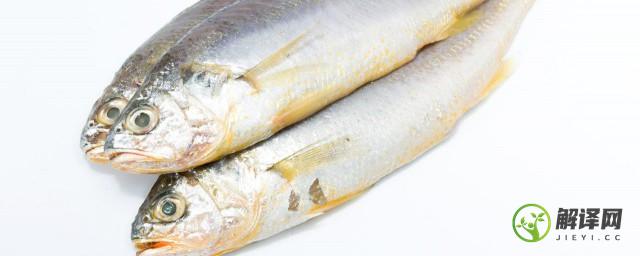 人工养殖的鱼能吃吗(人工喂养的鱼能经常吃吗)