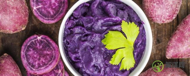 紫薯是粗粮吗(紫薯紫米是粗粮吗)