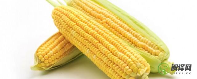 玉米属于蔬菜还是水果(水果玉米是蔬菜还是水果)