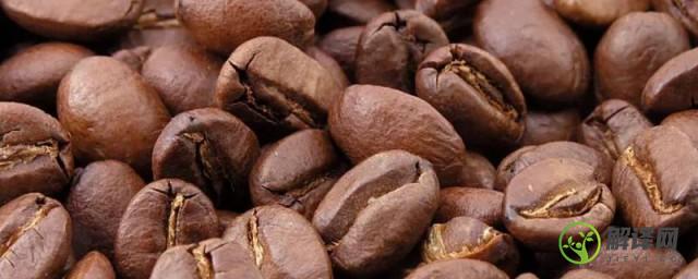 cacao和cocoa区别(cocoa和cocoa的区别)