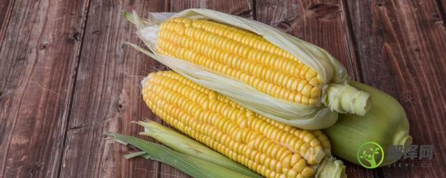 玉米种植方法是什么(玉米有几种种植方法)