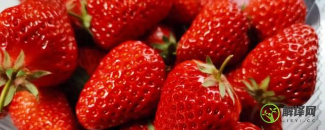 草莓哪个季节最好吃(草莓是什么季节吃的才好吃?)