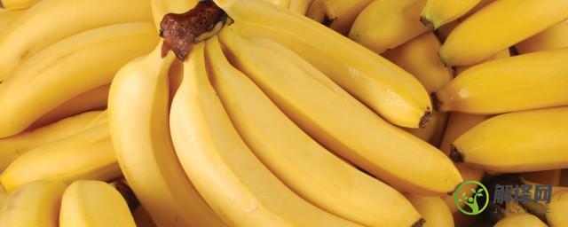 香蕉保存小妙招(香蕉的保存技巧)