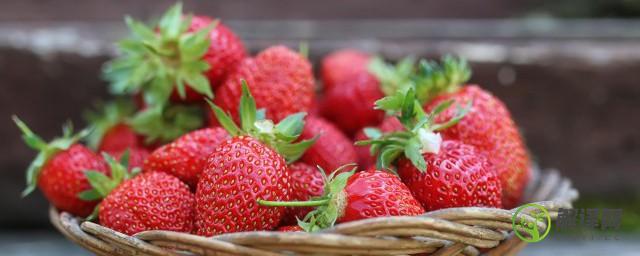 最好吃的草莓品种排名(比较好吃的草莓品种)