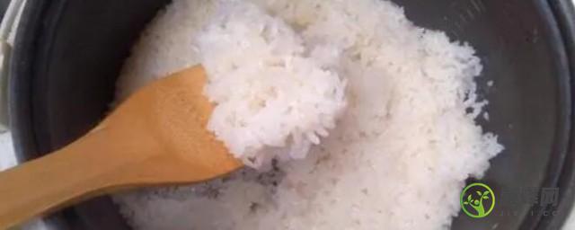 江米能蒸米饭吗(江米可以蒸大米饭吗)