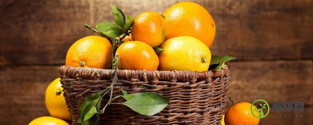 橙子橘子桔子柑子的区别(桔子,橙子,柑橘的区别)