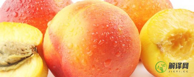 油桃和桃子的区别是什么(油桃和桃子的区别是什么?)